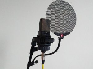 Microphone and pop shield